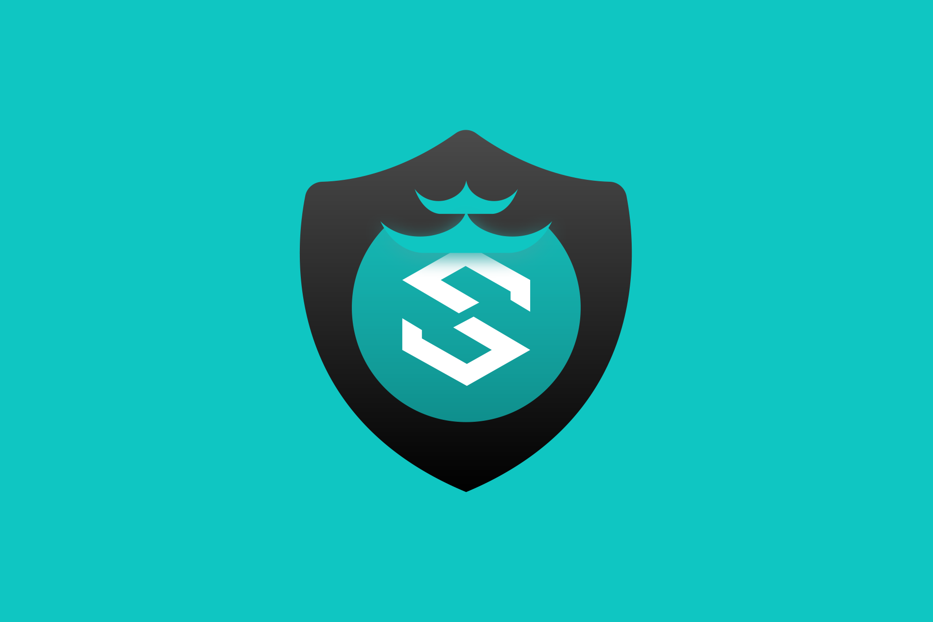 VanCloud Safeline 图标